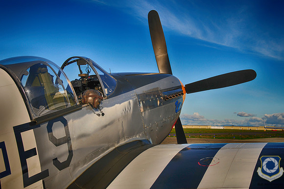 Impatient Mustang