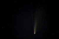 Comet C/2020 F3 NEOWISE