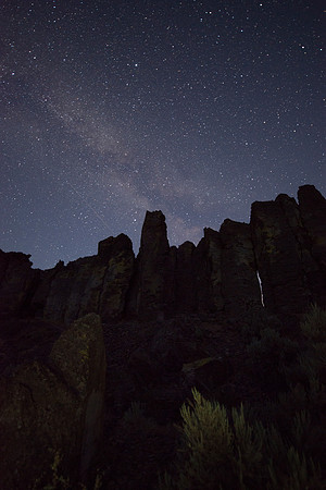 The Feathers at night