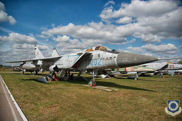 Mikoyan MiG-31 202 Blue