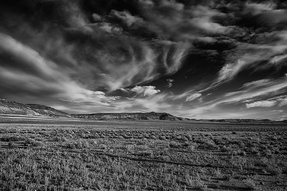 High Desert Open Range