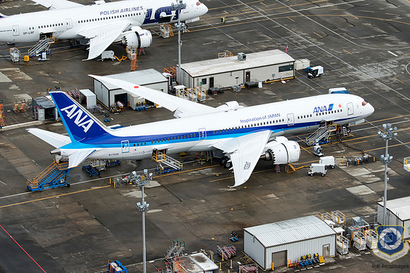 ANA JA830A