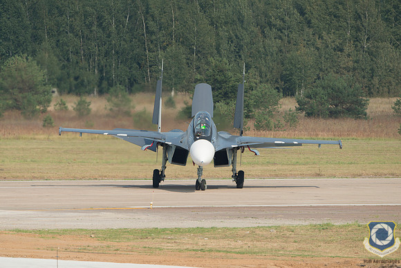 БМФ Sukhoi Su-33 Blue 38